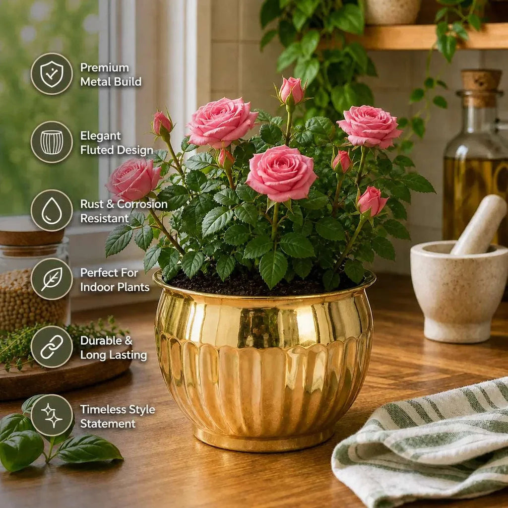 Brass Round Bucket Planter Pot (4 Inch) Vedansh Craft