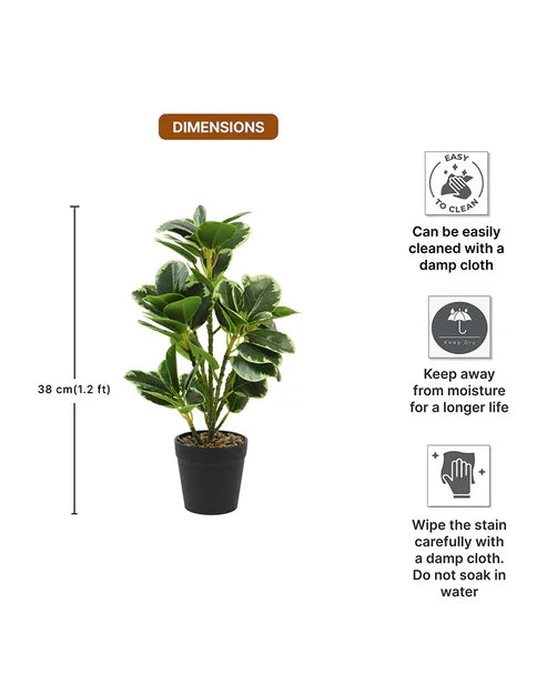 Realistic Artificial Leaves Plant with Pot for Modern Home and Room Decor