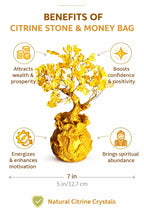 Sasha ES Citrine Crystal Money Bag Tree for Wealth, Prosperity & Good Luck, Gold Decorative Feng Shui Tree