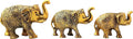 Prince Home Decor & Gifts Trunk up Elephant Metal Statues Lucky Figurine (Gold, 14 X 4.5 X 9.5 cm, 17 X 5 X 10.5 cm and 19.5 X 6 X) - Set of 3