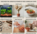 Shubhanjali Natural Red Carnelian Crystal Chips Stone 250 GM | Gemstone Chips for Jewellery Making, Crystal Tree, Resin Art, DIY Crafts, Meditation, Reiki, Feng Shui, Vastu & Home Décor