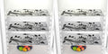 FACTCORE Refrigerator Drawer Mat/Fridge Mat Set of 6 Piece (11.5 X 17.5 Inches) (Branch) Kafalo