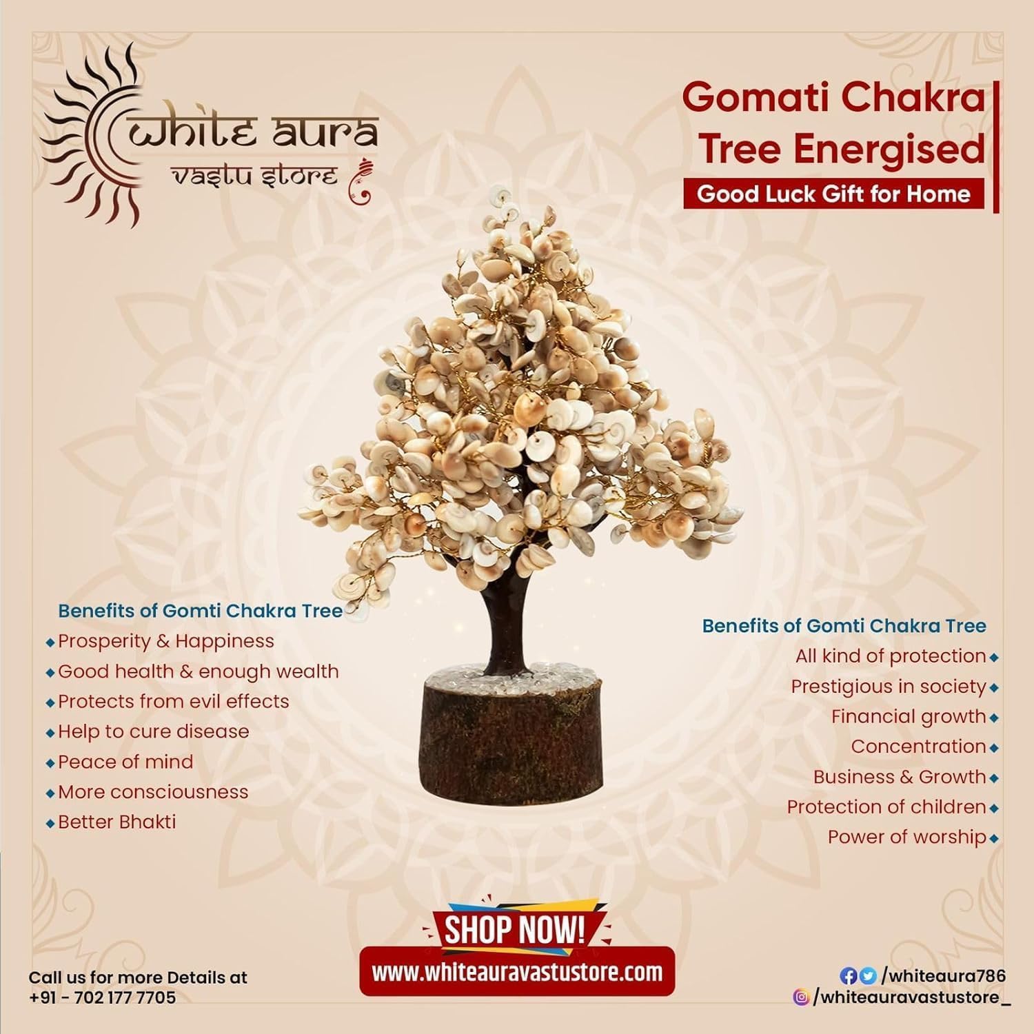 WAVES INDIA Gomti Chakra Tree with 300 Beads Large Size, Original Gomti Chakra Money Tree, Vastu Feng Shui Home Office Decor, Wealth Luck Tree, Spiritual Decorative Showpiece Gift