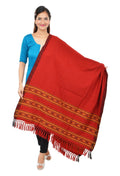 NYOLY Women's Woollen Shawl (Multi-Coloured)