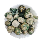 Tree Agate Tumble Stone 50 Gm | Natural Healing Crystal for Calm Energy, Emotional Stability & Growth | Polished Pebble Stones for Meditation, Spiritual Home Decor, Vastu & Gifting (2-4 Pcs)
