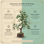CALMINDS Green Aventurine Crystal Wooden Tree | Natural Luck & Prosperity Gemstone Bonsai with Wooden Base | Crystal Tree for Positive Energy | Good Luck Tree