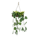 Well Art Gallery Home Doors Decoration Hanging Plant and use Temple Home Wedding Office Balcony Outdoor Diwali Fake Natural looing Decoration