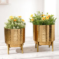 BEHOMA Hammered Gold Metal Indoor Planters Set - Set of 2