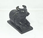 TEJASWI Craft Black Marble Shiva Nandi for Daily Daily Pooja Purpose|Home Temple|car deshboard.