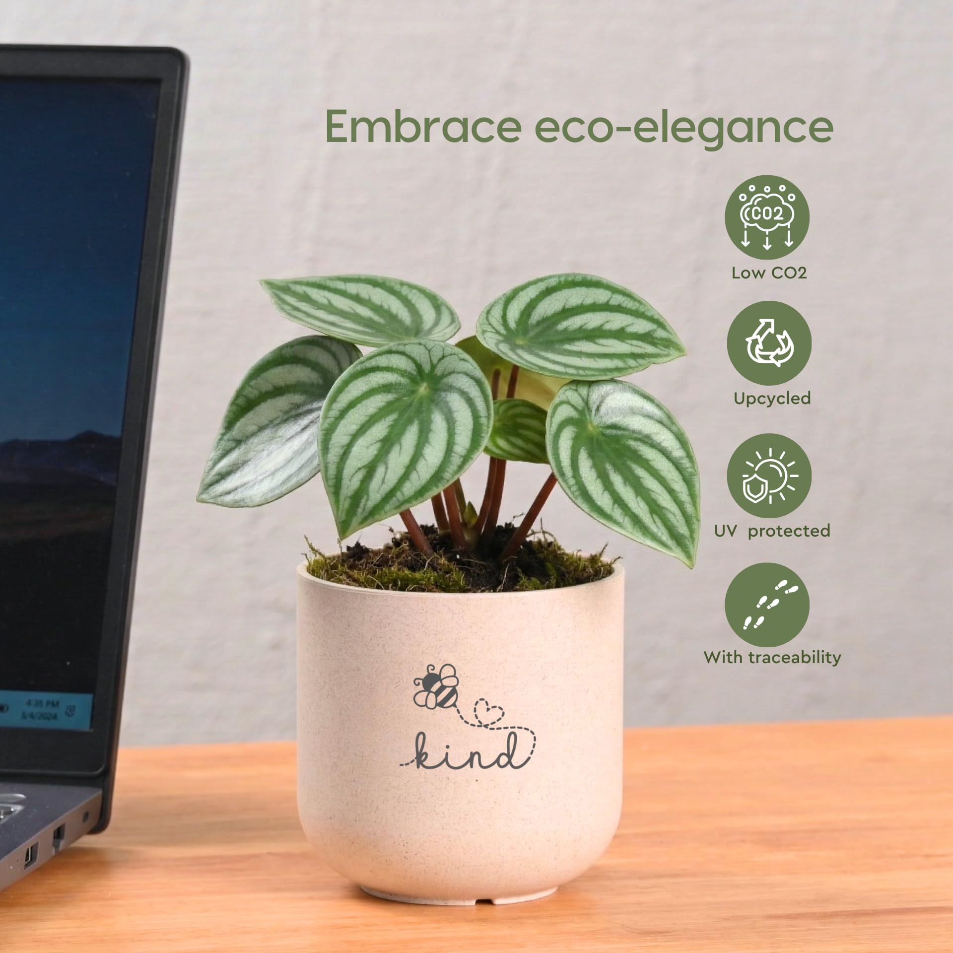 Eha Earth-Friendly Printed Small Terrapod Planters with Tray for Home Decor | 3.5 Inch, Pack of 3 | Plant Gifts Made with Rice Husk Biocomposite | Flower Pot for Living Room| Sand Castle