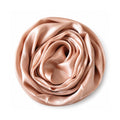 Leaf & FEATHER™ Muna Satin Hijab Scarf for Women | 200 x 70 cm | Silky Smooth & Lightweight | Daily and occational wear (Beige)