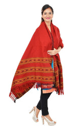 NYOLY Women's Woollen Shawl (Multi-Coloured)
