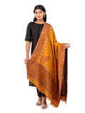 Naureen Women Faux Pashmina Kani Zari Shawl, Warm and Soft, 40x80 inch