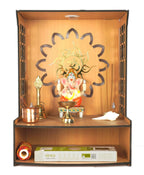 9br® Home Pooja Mandir for Home Temple for Home and Office Puja Mandir for Home Wall Mounted with LED Spot Light Size (H- 15.5, L- 11.5, W-11 in)