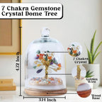 JD FRESH Original Certified Seven Chakra Crystal Tree with Glass Dome/Natural Gemstone Tree/Natural Healing Gemstone Bonsai for Meditation/Wealth/Vaastu/Office/Desk/Decor Gifts