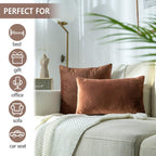 AAZEEM Decorative 18 x 18 Inch Throw Pillow Covers Set of 1 | Super Soft Velvet Pillows|Fall Pillowcase for Living Room Bedroom Sofa Couch Cushion Cover | Velvet