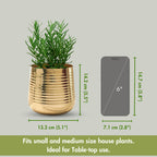 BEHOMA Metal Ribbed Design Planter for Home, Golden