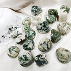 Tree Agate Tumble Stone 50 Gm | Natural Healing Crystal for Calm Energy, Emotional Stability & Growth | Polished Pebble Stones for Meditation, Spiritual Home Decor, Vastu & Gifting (2-4 Pcs)