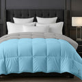 EDMUND® 600 GSM Winter Quilt Blanket Rajai | Cloud Down Touch Microfiber Comforter | Extra Warm, Fluffy & Machine Washable - Single Bed 60x90 | Sky/Silver Kafalo