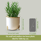 BEHOMA Metal Hammered White Planter with Golden, 6 inch (Plant not Included