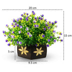 Reiki Crystal Products Beautiful Artificial Bonsai Plant with Pot | Bonsai Tree/Plants | Bonsai Tree for Indoor with Wooden Pot for Office Home Decor Showpiece (Pack 0f 1 pc)