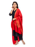 Naureen Women Pashmina Blend Shawl with Zari, Warm and Soft, 40x80 inch