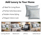 RD TREND Velvet Cushion Covers, 60 x 60 cm/24 x 24 inches,Pack of 2,250 TC, Back Zipper (Grey)