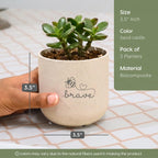 Eha Earth-Friendly Printed Small Terrapod Planters with Tray for Home Decor | 3.5 Inch, Pack of 3 | Plant Gifts Made with Rice Husk Biocomposite | Flower Pot for Living Room| Sand Castle