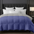 EDMUND® 500 GSM Heavy Warm Comforter | Cloud Soft Down Touch Microfiber Quilt | Winter Blanket Rajai | Fluffy, Lightweight & Machine Washable - Single Bed 60x90 | Medium Blue/Silver Kafalo