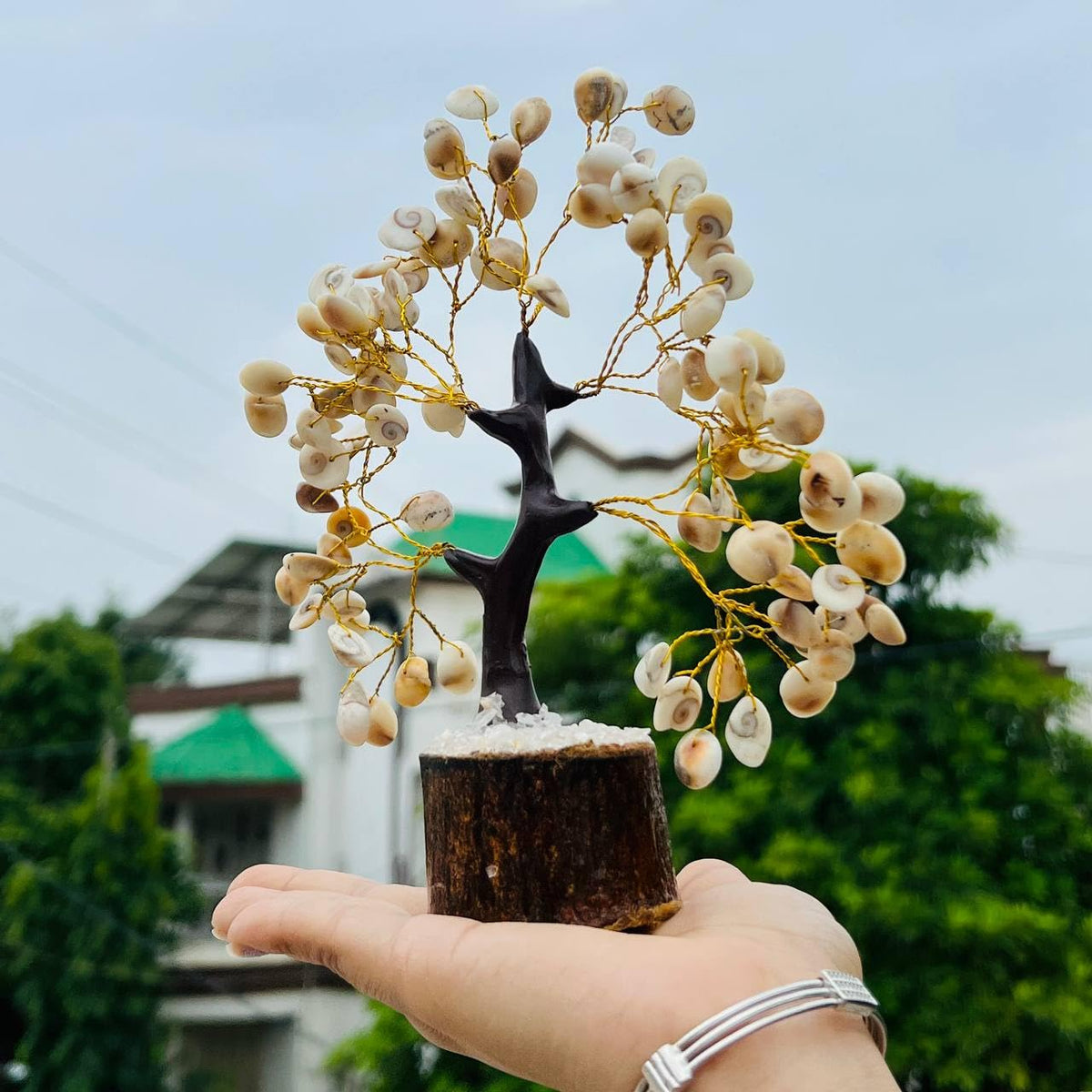 Galox Natural & Original Gomti Chakra | Gomati Chakra Tree for Good Luck & Prosperity Decorative Showpiece Tree (100 Bead Gomti Chakra Tree)