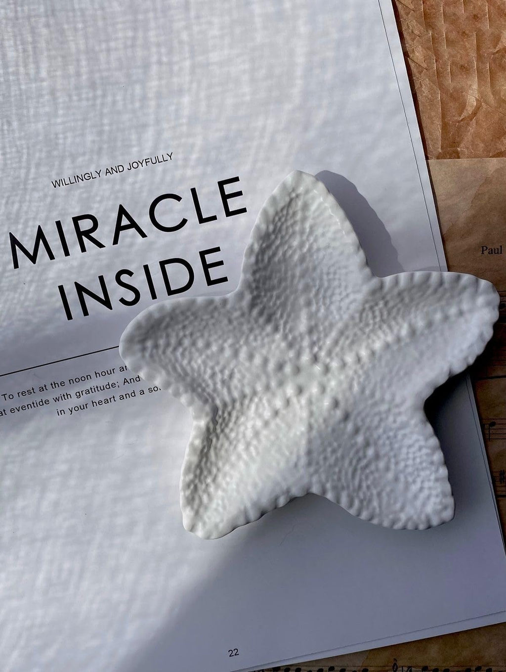 SCENSIA Decorative White Concrete Starfish Tray, Textured Coastal Design, Beach Theme Home Decor, Jewelry Dish Display