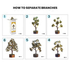 SOLAVA Pyrite Crystal Tree for Money - Money Stone Tree for Wealth, Confidence, Vastu Correction, Positive Energy, Reiki Healing and Good Luck- 300 Beads- 10-12 Inches