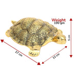 KridayKraft Kachhua Turtle for Vastu Feng Sui,Kachua Yantra for Good Luck & Evil Eye Protection,Metal Tortoise Staute Animal Showpiece Figurine & Gifting Items.