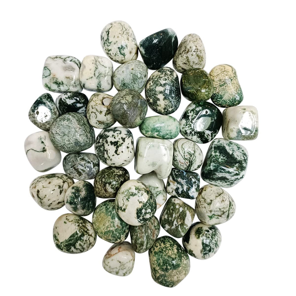 Tree Agate Tumble Stone 50 Gm | Natural Healing Crystal for Calm Energy, Emotional Stability & Growth | Polished Pebble Stones for Meditation, Spiritual Home Decor, Vastu & Gifting (2-4 Pcs)