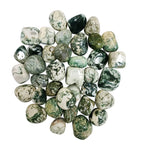 Tree Agate Tumble Stone 50 Gm | Natural Healing Crystal for Calm Energy, Emotional Stability & Growth | Polished Pebble Stones for Meditation, Spiritual Home Decor, Vastu & Gifting (2-4 Pcs)