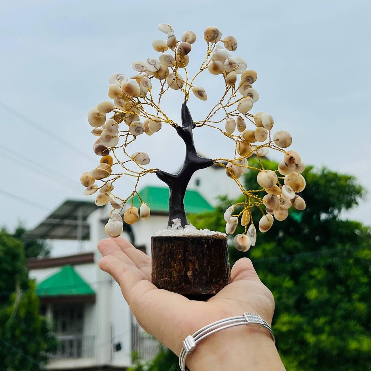 Galox Natural & Original Gomti Chakra | Gomati Chakra Tree for Good Luck & Prosperity Decorative Showpiece Tree (100 Bead Gomti Chakra Tree)