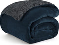 Homestan Sherpa Fleece AC Blanket for Winter, Single 60x90 inch Kafalo