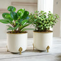 BEHOMA White Hammered Metal Planters with Gold Leaf Stand, Set of 2
