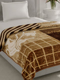 Monte Carlo Single Bed Winter Blanket Soulmate 1 Ply Box Packing 500 GSM | 1.7 KG (220x160 CM), Brown 2 Kafalo