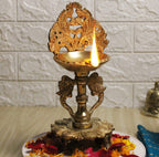 ARTVARKO Brass Double Peacock Designer Diya Showpiece Oil Lamp Deepak with Wick for Diwali Puja Pooja Lights, Home Decoration, Gifts, Festivals 9 Inch