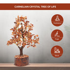 AMOKRI 500 Beads Red Carnelian Crystal Tree, Feng Shui Healing Crystal Bonsai for Positive Energy, Good Luck Decor, Vastu Items, Home Office Decoration, Housewarming, Shop Opening & Spiritual Gift