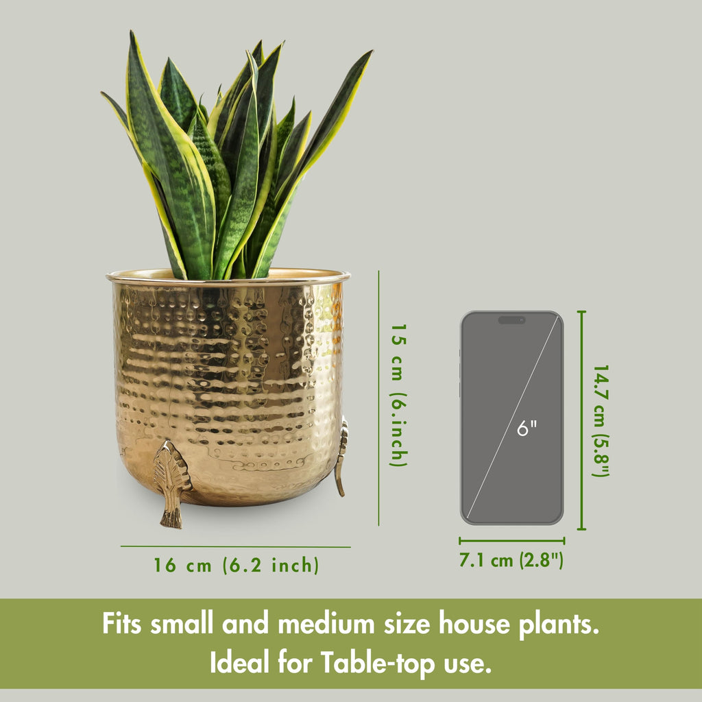 BEHOMA Metal Hammered Planter for Home Decor, Golden