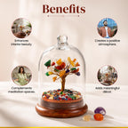 BhagyaG 7 Chakra Crystal Tree with Glass Dome & Wooden Base | 7 Chakra Gemstone Tree Showpiece for Home, Office, Meditation & Décor | Handmade Healing Crystal Gift