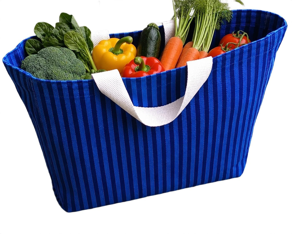 Janees Cotton Canvas Shopping Bag (16x16x4 Inches) | Heavy Duty Reusable Tote Bag for Groceries & Travel | Multipurpose Vegetables & Fruits Storage Bag, 20 kg Capacity (Blue)