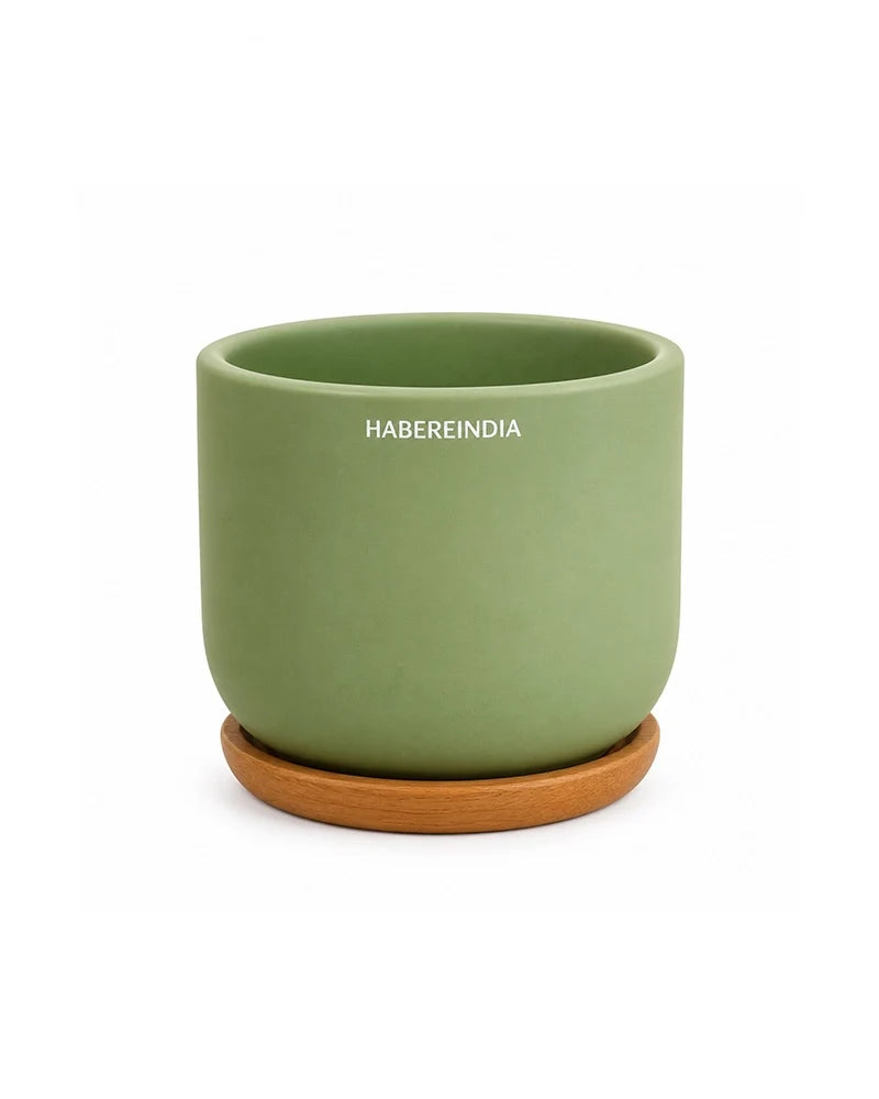 Small Terracotta Pot for Living Room Decoration