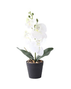Artificial Decorative Flower Arrangement for Home and Office