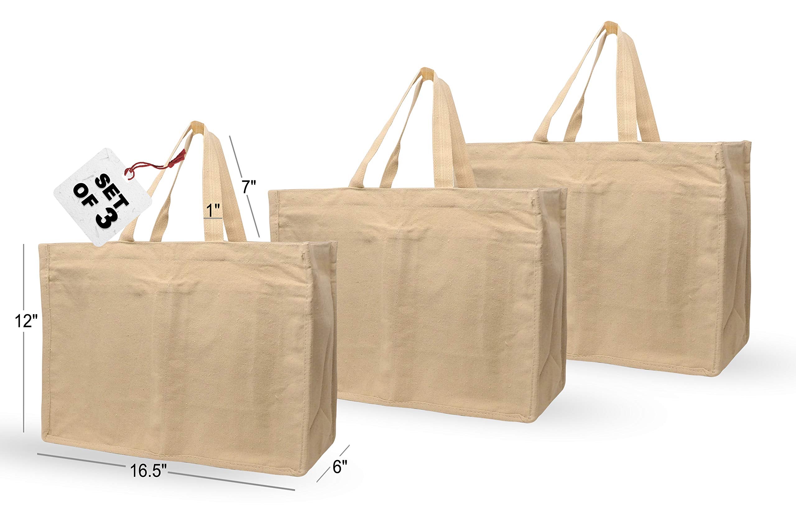 Shopping Bags with 6 Compartments (Set of 3) ; Cotton Canvas Bag for Vegetables, Fruits, Bottles, Grocery - Washable, Reusable Foldable Carry Bag