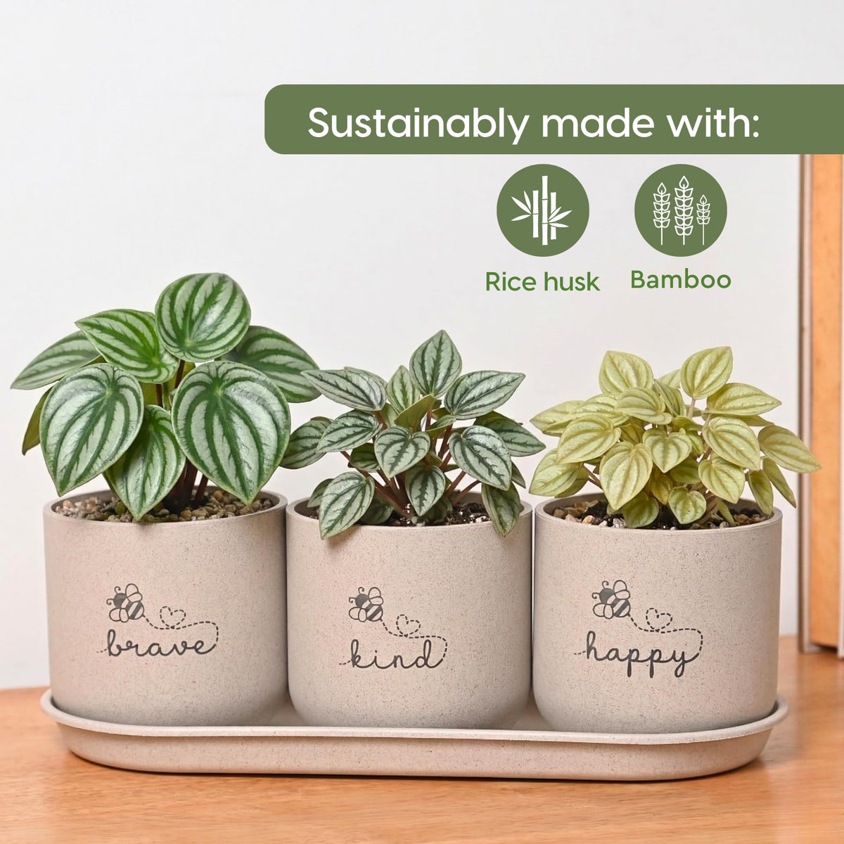 Eha Earth-Friendly Printed Small Terrapod Planters with Tray for Home Decor | 3.5 Inch, Pack of 3 | Plant Gifts Made with Rice Husk Biocomposite | Flower Pot for Living Room| Sand Castle