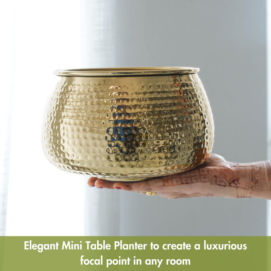 BEHOMA Metal Hammered Golden Bowl Planter