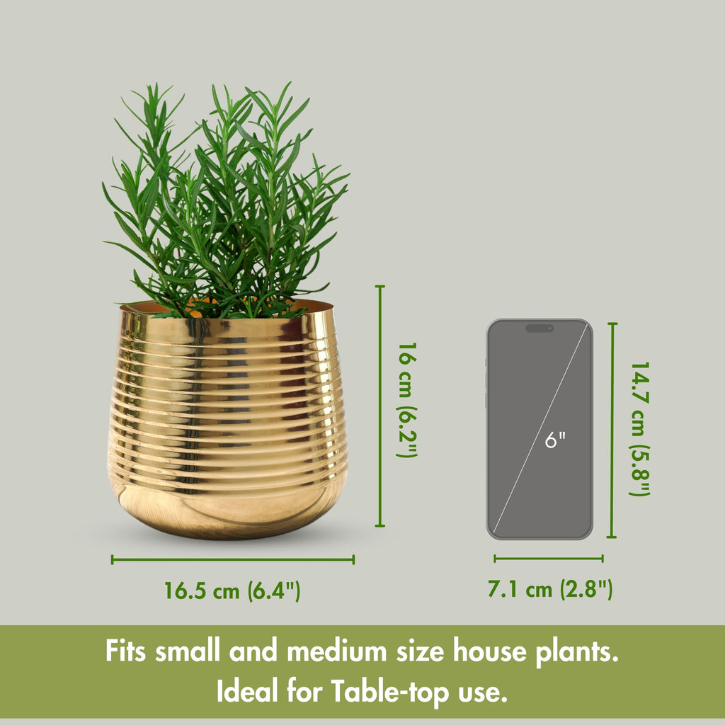 BEHOMA Metal Ribbed Design Planter for Home, Golden